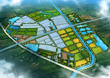 黃岡現代農業觀光村總體規劃